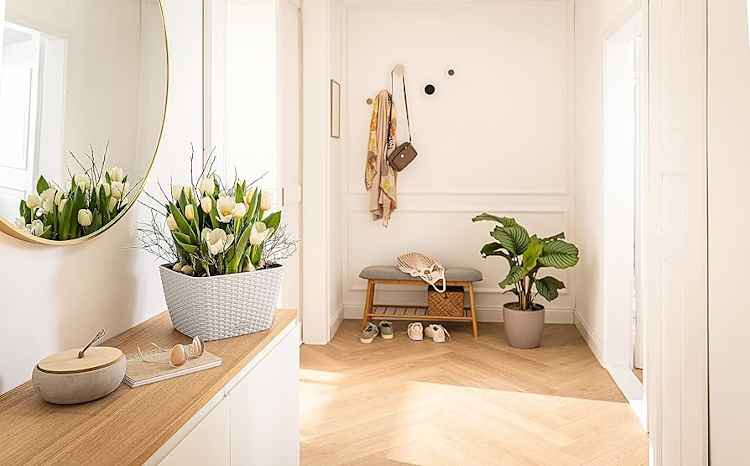 Plants in BACINO Cottage Planters